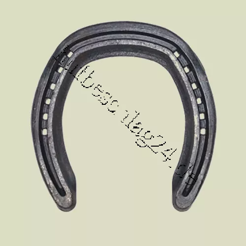 Rolling Motion Hind "RM 8"