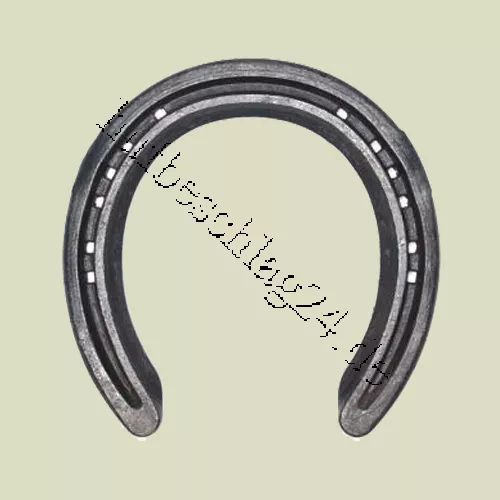 Rolling Motion Front "RM 5"