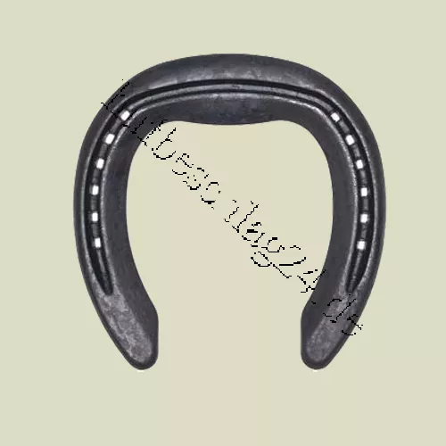 NBS- Eisen Fitzwigram "6F"