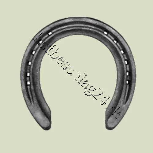 General Purpose Reitpferde "1f"