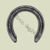 General Purpose Reitpferde "2f"