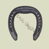 NBS- Shoe Fitzwigram Light Gr. 1