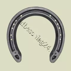 Concave Side Clipped Front "Gr. 11"