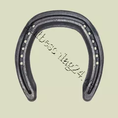 Rolling Motion Hind "RM 6"