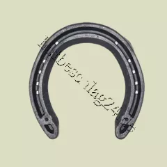 Concave Side Clipped Hind "Gr. 7"